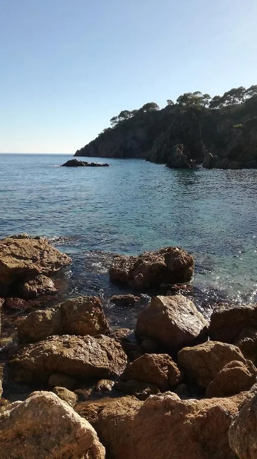Apartment Apartamento Con Piscina L' Ancora Calella De Palafrugell