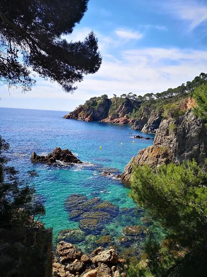 Apartamento Con Piscina L' Ancora Calella De Palafrugell Apartment